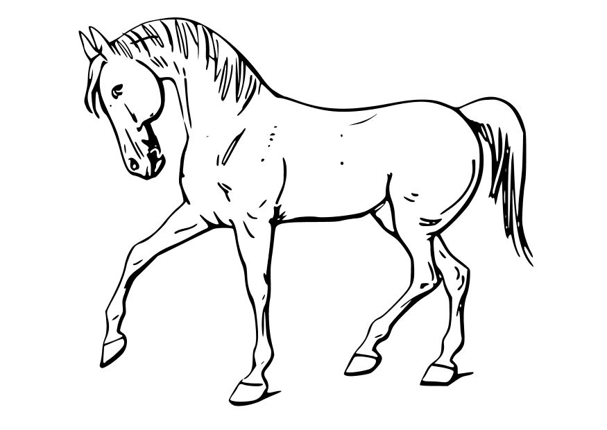 Dibujos de caballos - Imprimir Para Colorear