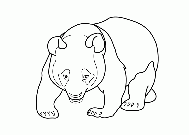 Dibujos de Osos Panda - Imprimir Para Colorear
