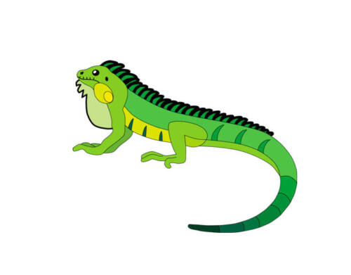 IGUANAS